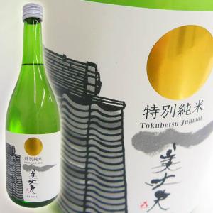 爆買 日本酒 高知 浜川商店 美丈夫 特別純米酒 720ml びじょうふ ★SAKE COMPETITION 2019 純米酒部門 GOLD 第2位受賞