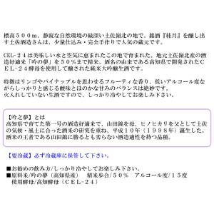 爆買 日本酒 高知 土佐酒造 桂月 純米大吟醸...の詳細画像2