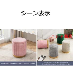 ドレッサーチェア 化粧椅子イス ドレッサーチェ...の詳細画像5