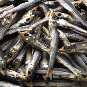 珍味 おつまみ イワシ 小魚 乾き物 お取り寄...の詳細画像2