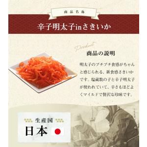 珍味 おつまみ お取り寄せ さきいか お菓子 ...の詳細画像5