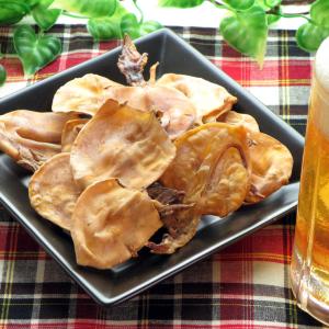 珍味 おつまみ 乾き物 訳あり するめいか けんさき