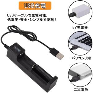 【PSEマーク取得済】リチウムイオン電池 16...の詳細画像4