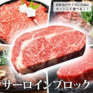 春ギフト 牛肉 サーロイン 近江牛 ブロックカット 整形 1kg 送料無料