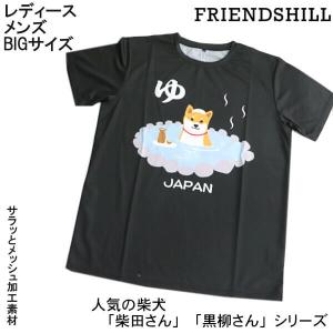 柴犬 しばたさん 温泉ですか Tシャツ 男女兼用 カットソー お風呂 しばとも サラッとした素材 和柄 M L XL 犬グッズ ルームウェア フレンズヒル メール便 発送