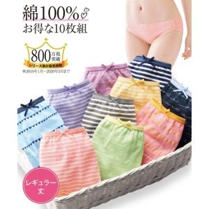 ショーツ スタンダード レディース 綿100％ プリントレギュラー 10枚組 LL ニッセン nissen