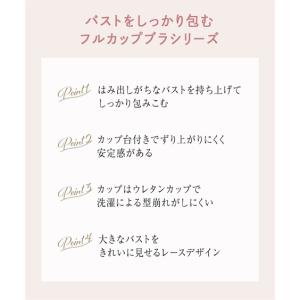 ブラジャー ワイヤー入り 大きいサイズ レディ...の詳細画像2