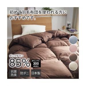 プラチナウェーブ寝具 美(BI) 肌布団 シングルサイズ : 総合通販のロコ