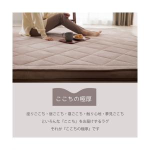 単品配送 ラグ ふわふわ フランネル素材 極厚...の詳細画像3