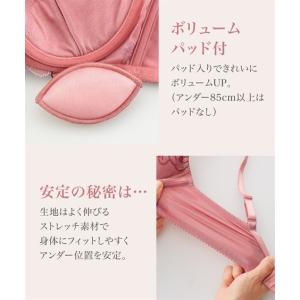 ブラジャー ショーツ セット 大きいサイズ レ...の詳細画像3