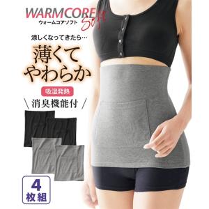 腹巻 レディース ウォームコア ソフト 発熱 やわらか 微起毛 ポケット付 4枚組 冬 S/M/L ニッセン nissen