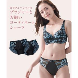 ショーツ スタンダード 大きいサイズ レディー...の詳細画像1