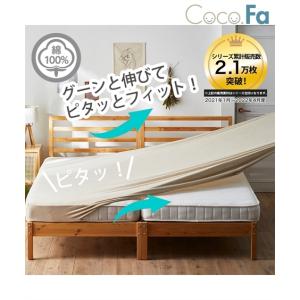 シーツ 綿100％ タオル地 のびのび マットレス 敷布団兼用 ファミリーサイズ 4人用 250cm ニッセン nissen