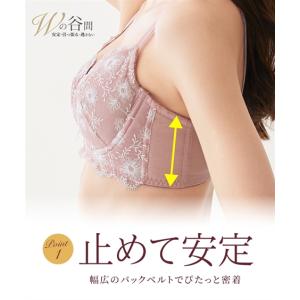 ブラジャー ショーツ セット 大きいサイズ レ...の詳細画像4
