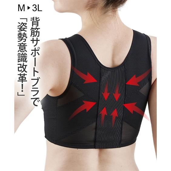 ブラジャー ノンワイヤー レディース 背筋サポート 前開き ブラ M/L/LL/3L ニッセン ni...