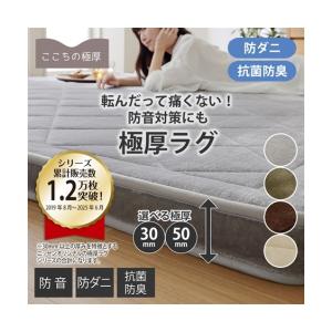 ニッセン（nissen） 単品配送 ラグ ふわふわ フランネル素材 極厚