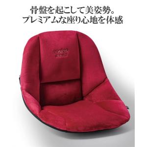 ニッセン（nissen） ＆MEDICAL BOLLARD CHAIR メディカル ボラード