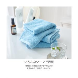 タオル タオル フェイス Dailycolor...の詳細画像4