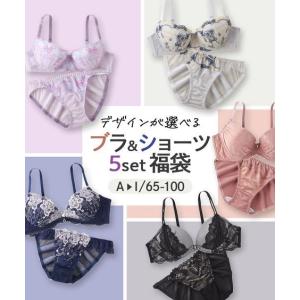福袋 2026 ブラジャー ショーツ セット 大きいサイズ レディース おまかせ 5セット組 アソート G85_LL〜I95_4L ニッセン nissen