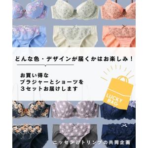 福袋 2026 ブラジャー ショーツ セット ...の詳細画像1