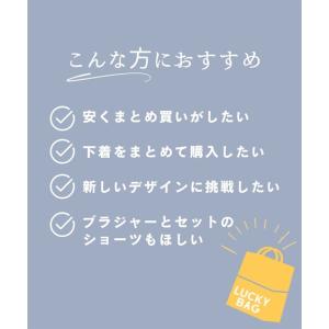 福袋 2026 ブラジャー ショーツ セット ...の詳細画像2