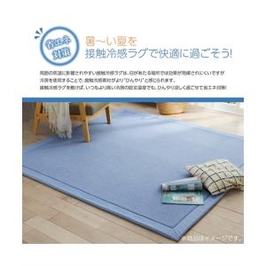 ラグ カーペット 絨毯 洗える 接触冷感 キル...の詳細画像3