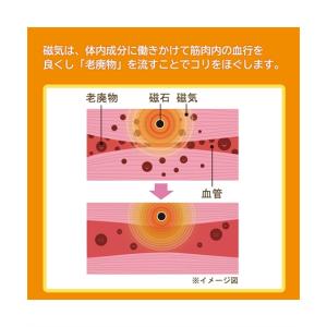 ☆ LECIEN×ピップエレキバン 腰こりらっ...の詳細画像4