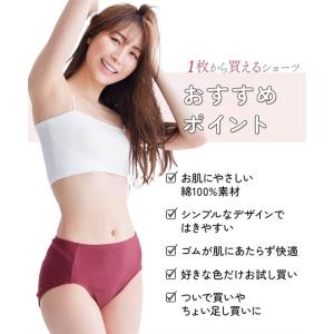 ショーツ レディース 綿100% リブ ゴムが...の詳細画像3