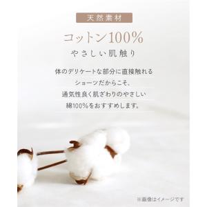 ショーツ レディース 綿100% リブ ゴムが...の詳細画像4