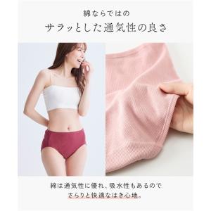 ショーツ レディース 綿100% リブ ゴムが...の詳細画像5