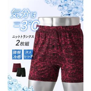 トランクス メンズ 気分はー3℃ひんやり 接触冷感 メッシュ編み前ボタン開き ニット 2枚組 夏 大きいサイズ インナー 男性下着 | 3L/4L/5L/6L | ニッセン nissen