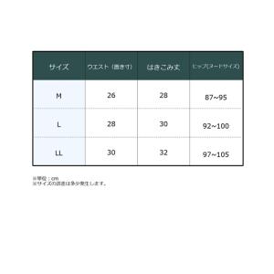 ショーツ レディース 選べる4 デザイン 2枚...の詳細画像4