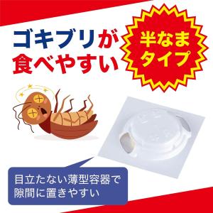 ホウ酸ダンゴ 24個入 ゴキブリ 害虫駆除 置...の詳細画像2