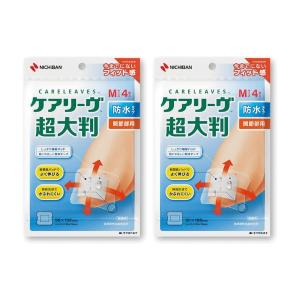 救急絆創膏 サージットP 防水フィルム 100mmX150mm パッド付