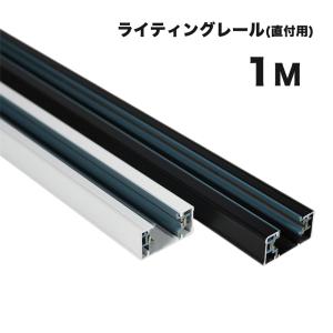 NISSIN LUX ダクトレール 1m 直付型配線ダクトレール レール