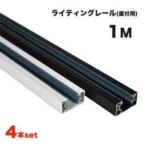 NISSIN LUX ダクトレール 黒 白 1m×2本組 2m ジョインタ付属 直付専用