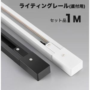 ダクトレール 1m セット 直付型配線ダクトレール ダクトレール レールライト100cm ブラック ホワイトライティングバー レール レールライト 天井照明