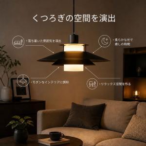 ペンダントライト 1灯 ダクトレール用照明 ダ...の詳細画像1