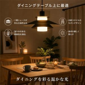 ペンダントライト 1灯 ダクトレール用照明 ダ...の詳細画像4