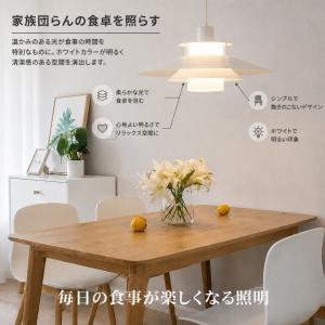 ペンダントライト 1灯 ダクトレール用照明 ダ...の詳細画像5