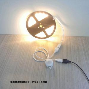 人感センサー付きスイッチケーブル 12v 24...の詳細画像4