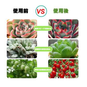 植物育成ライト LED植物用 LEDテープライ...の詳細画像1
