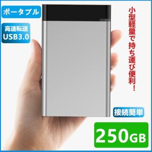 外付けHDD 1TB ポータブル型 4k対応テレビ録画 PC パソコン mac対応