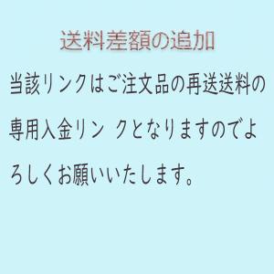 再送送料や差額など入金リンク