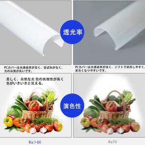 LED蛍光灯 20w形 昼光色 昼白色 電球色...の詳細画像5