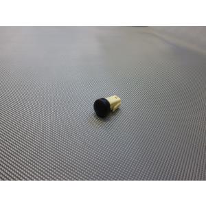 WAKOS（ワコーズ） 塩害防止塗料クリアタイプ A244 480ml : Tネット