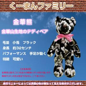 金華山熊 金華山生地テディベア くーまんファミリー 花かご緑