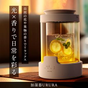 【1年保証付き】加湿器URURA スチーム式加...の詳細画像1