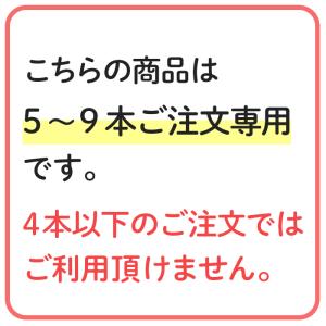 消火器 10型 2026年製 5~9本注文 M...の詳細画像2
