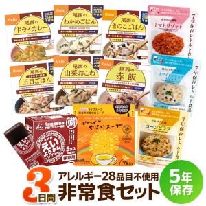 非常食セット 3日分 アレルギー28品目不使用・...の商品画像